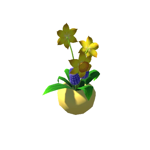 Hyacinth - Daffodil